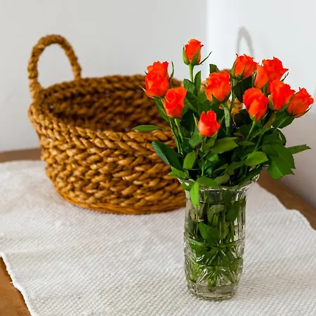 Apartment Central Split * 斯普利特