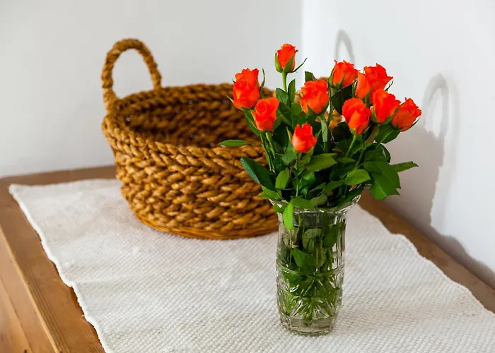 Apartment Central Split * 스플리트